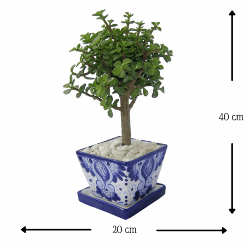 Árbol de la Abundancia