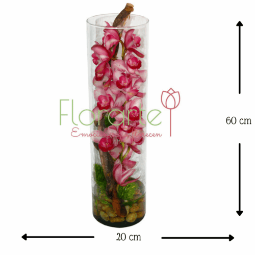 Adorarte, es mi promesa