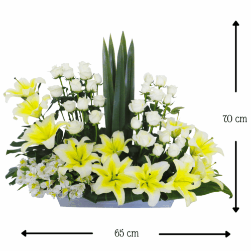 Alas de Ángel Alas de Ángel