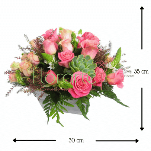 Antigüo París Felicidad