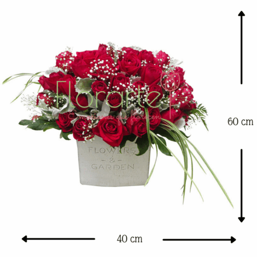 Arreglo Rosal Miller