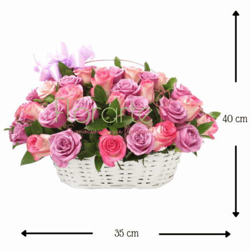 Arreglo Tierna Caperuza