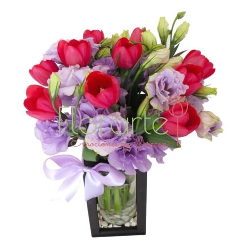 Babel Besos y Sueños Babel Besos y Sueños