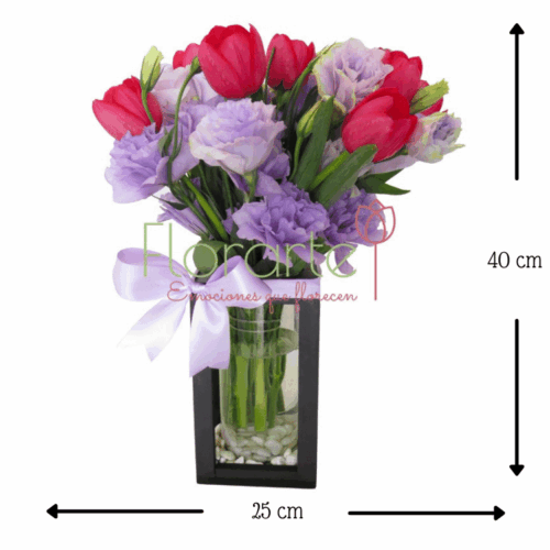 Babel Besos y Sueños Babel Besos y Sueños