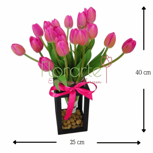 Babel Labios Rosas 20 Tulipanes