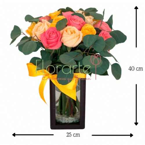 Babel Sueño Arcoiris Babel Sueño Arcoiris