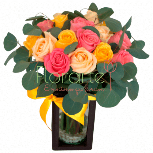 Babel Sueño Arcoiris Babel Sueño Arcoiris