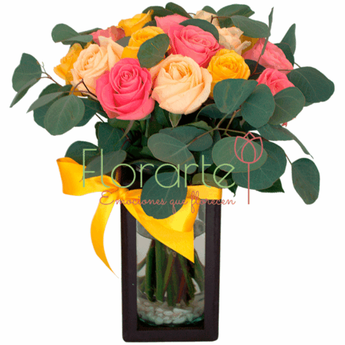 Babel Sueño Arcoiris Babel Sueño de Otoño