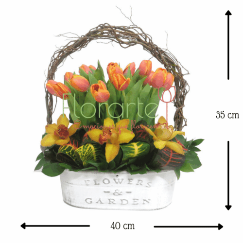 Besos con Orquídeas