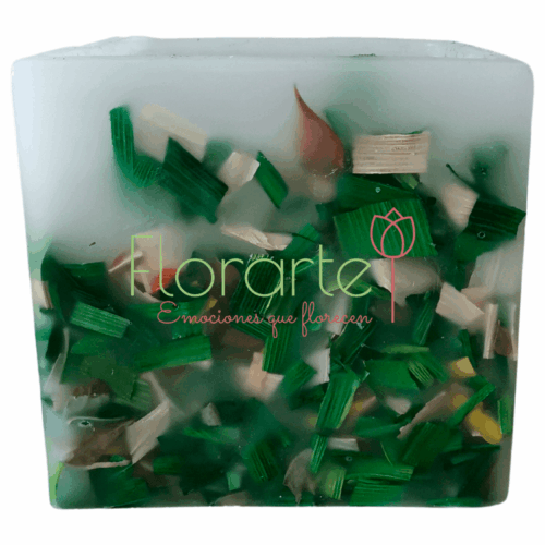 Florencia Anturios y Tulipanes