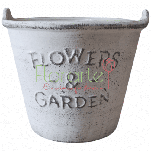 Orquídeas Anastasia Orquídeas Anastasia