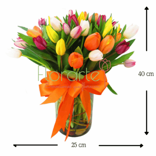 Resplandor de Tulipanes