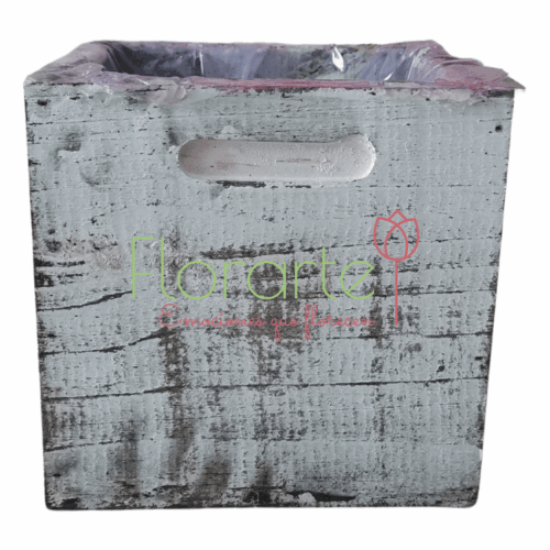 Orquídea Antique Orquídea Antique