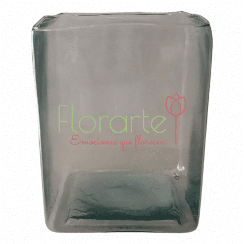 Rebosante de Colores