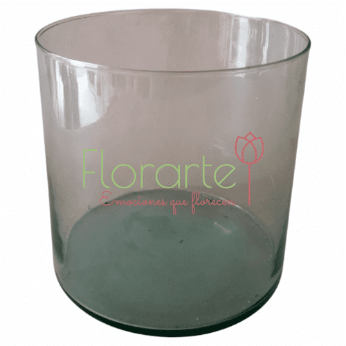 Resplandor de Tulipanes