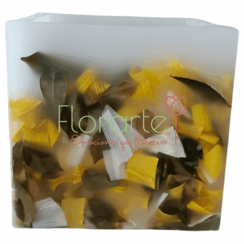 Florencia Tierna Mirada