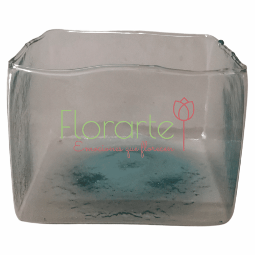 Bonito Cariño Bonito Cariño