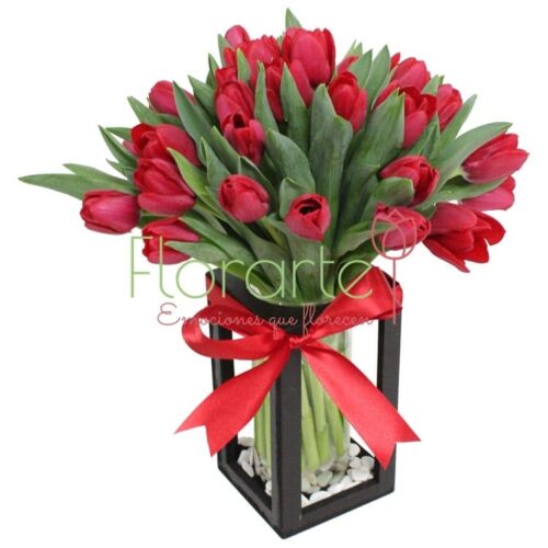 Babel Besos Enamorados