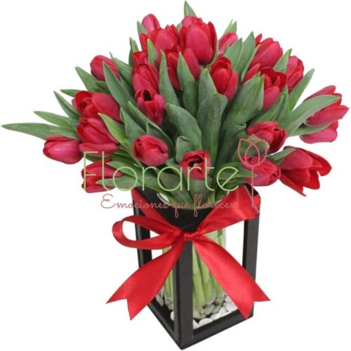 Babel Besos Enamorados