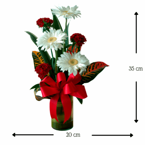 Blanca Ternua Blanca Ternua