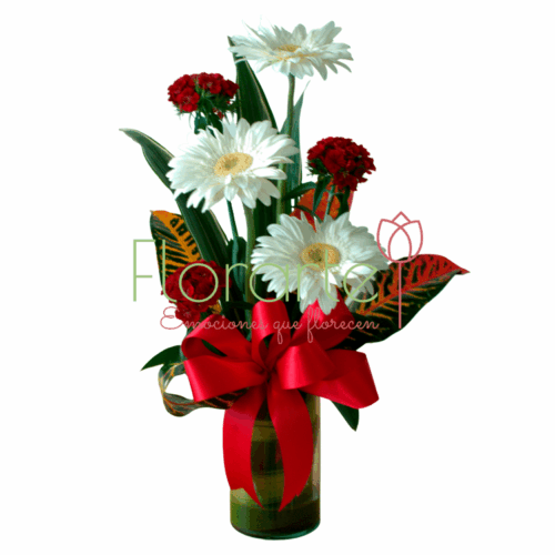 Blanca Ternua Blanca Ternura