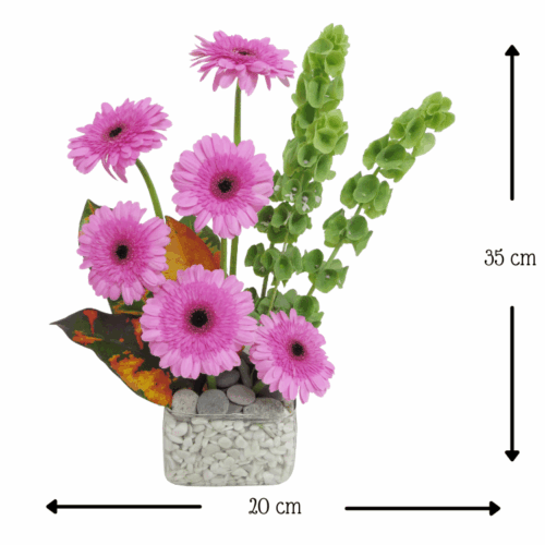 Bonito Cariño Bonito Cariño