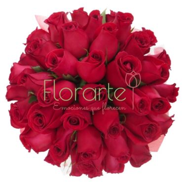 Bouquete Te Amo
