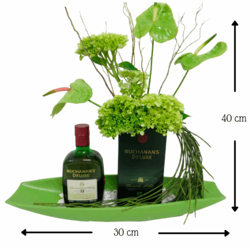 Buchanans y Anturios