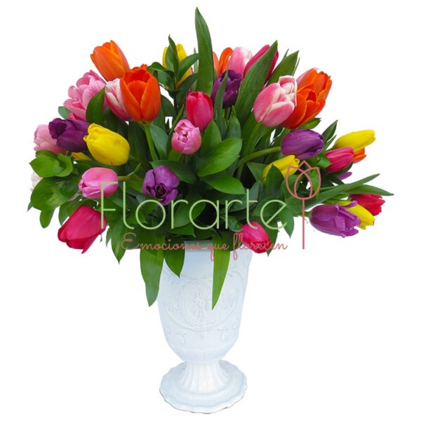 Reina de Tulipanes