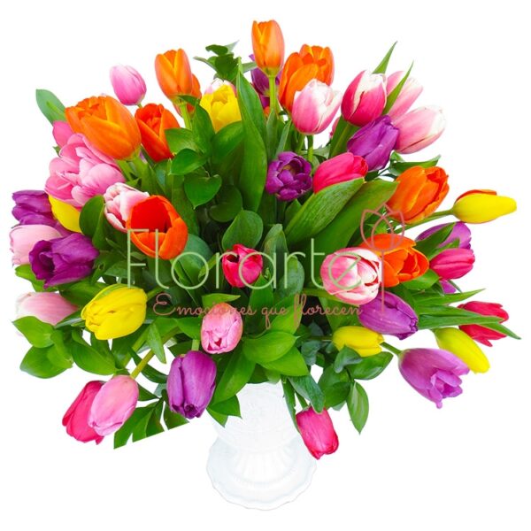 Reina de Tulipanes
