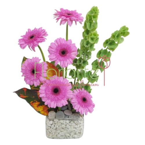 Bonito Cariño Bonito Cariño