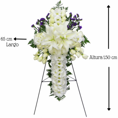 Cruz Dios Contigo Cruz Dios Contigo