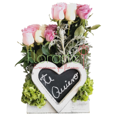 Divino Corazón II