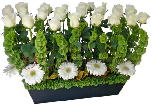 Jardín del Alma Jardín del Alma