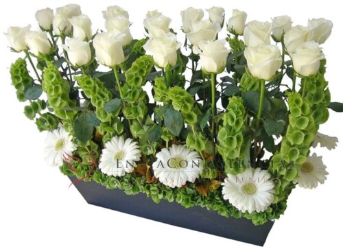 Jardín del Alma Jardín del Alma