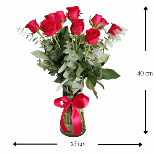 Enredo de Amor Enredo de Amor