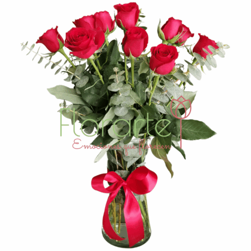 Enredo de Amor Enredo de Amor