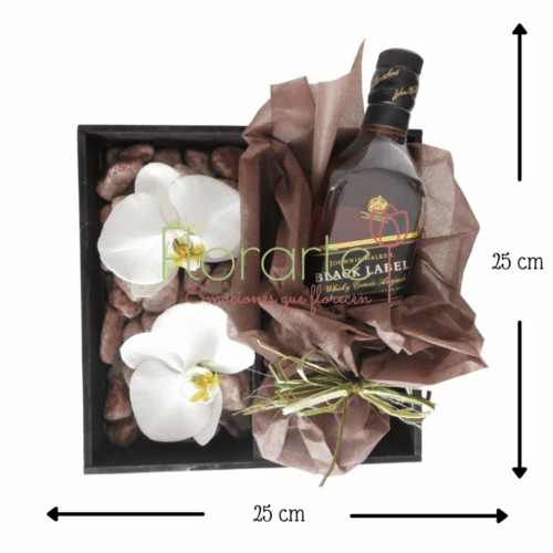 Escocés con Orquídeas