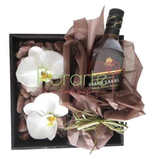 Escocés con Orquídeas