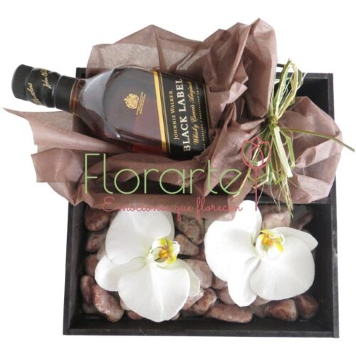 Escocés con Orquídeas