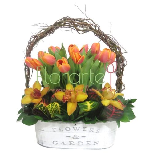 Besos con Orquídeas