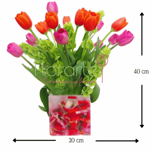 Florencia Alegría de Tulipanes