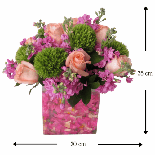 Florencia Bambina Florencia Bambina