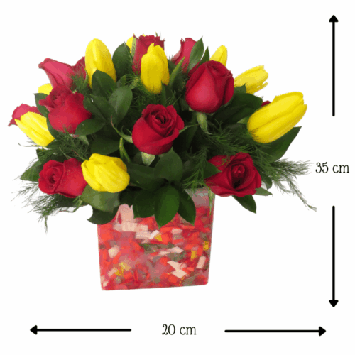 Florencia Brillo de Amor I