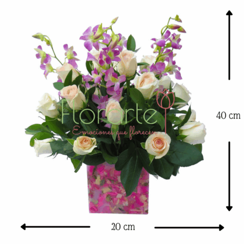 Florencia Cenicienta