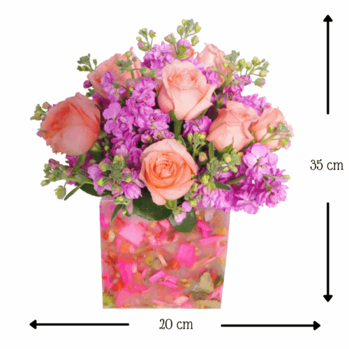 Florencia Cielo Rosa