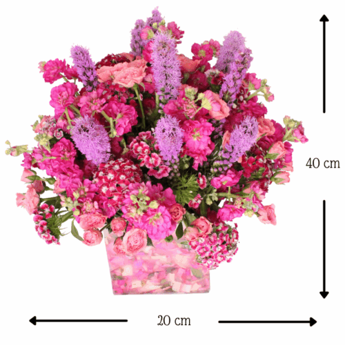 Florencia Clarabella