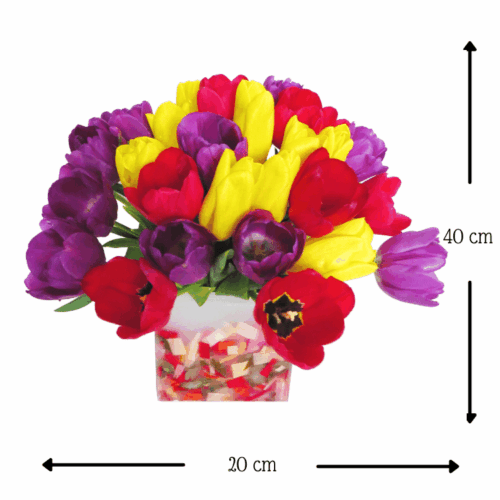 Florencia Confetti de Tulipanes