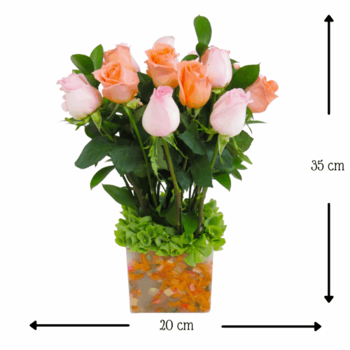 Florencia Dariela Florencia Dariela