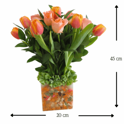 Florencia Diadora Florencia Diadora